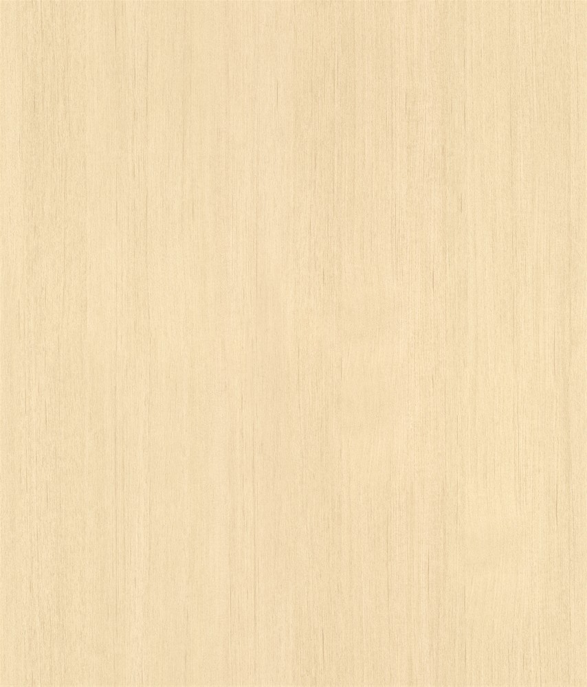 80676