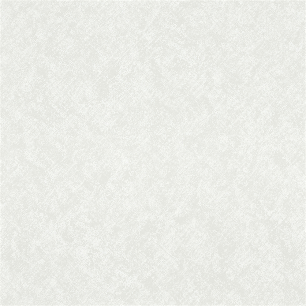 80658
